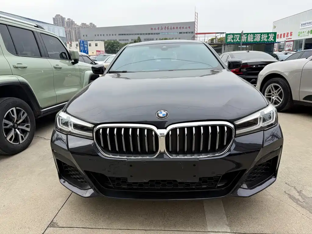 BMW 5 Series — миниатюра 2