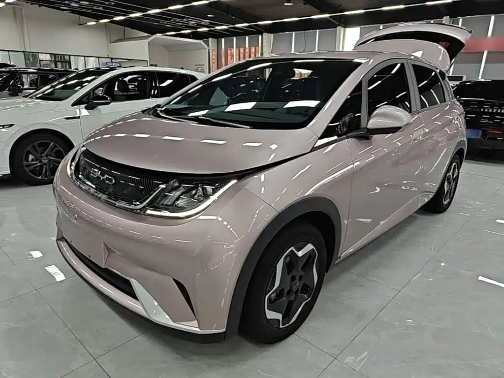 BYD Dolphin — миниатюра 2