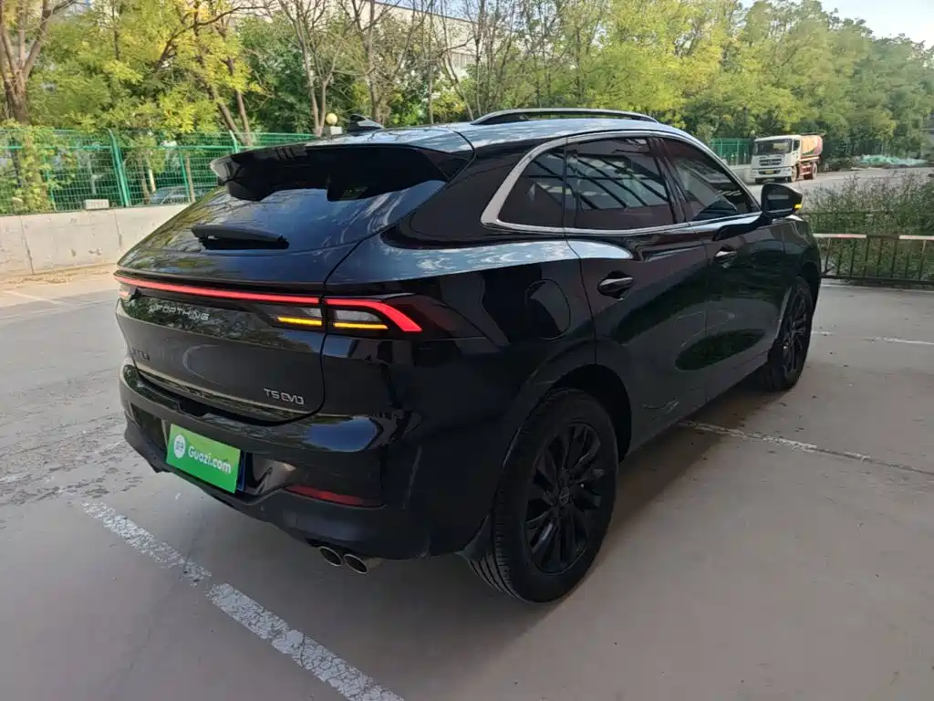 Fengxing Fengxing T5 EVO — миниатюра 5