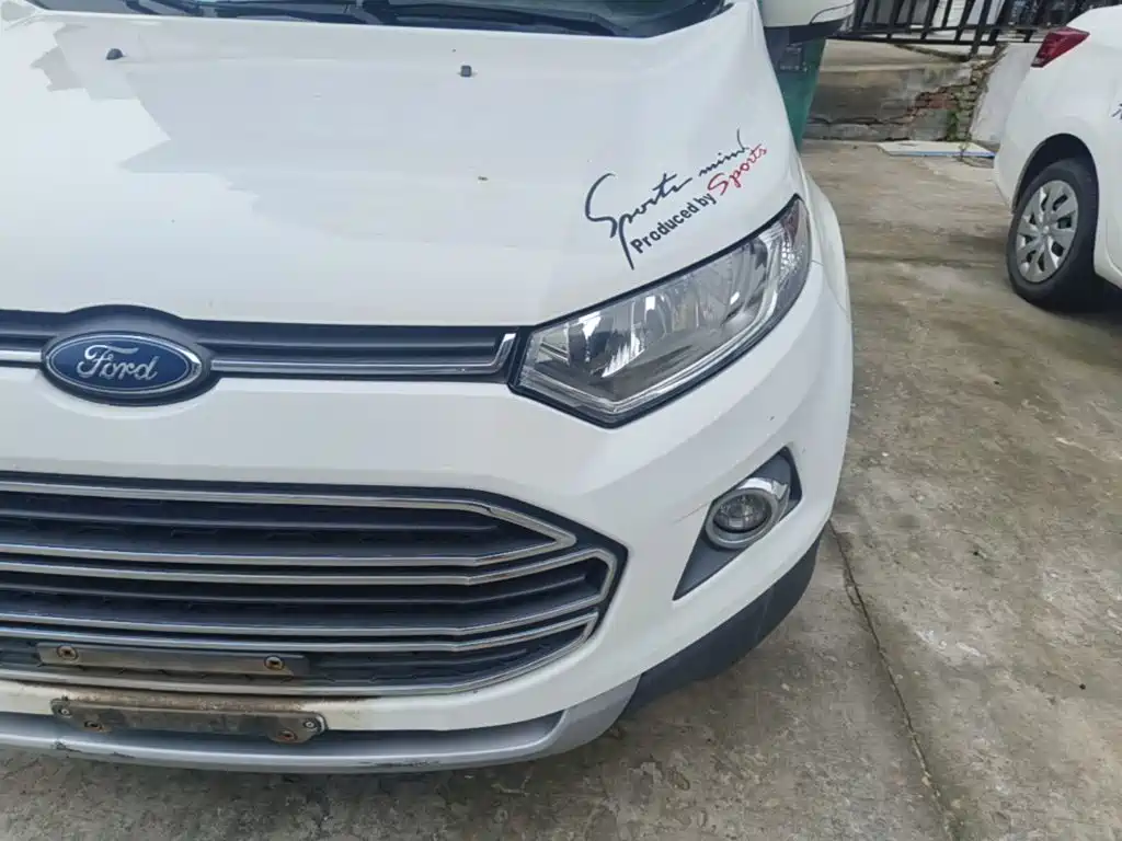 Ford Ecosport — миниатюра 24