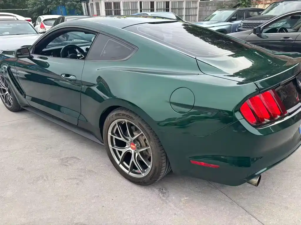 Ford Mustang — миниатюра 5