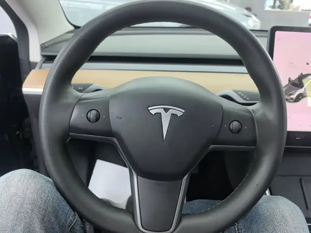 Tesla Model 3 — миниатюра 11
