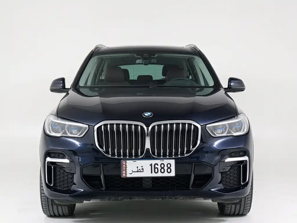 BMW X5 — миниатюра 2