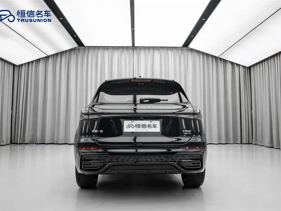 Hongqi Hongqi HS5 - фото 6