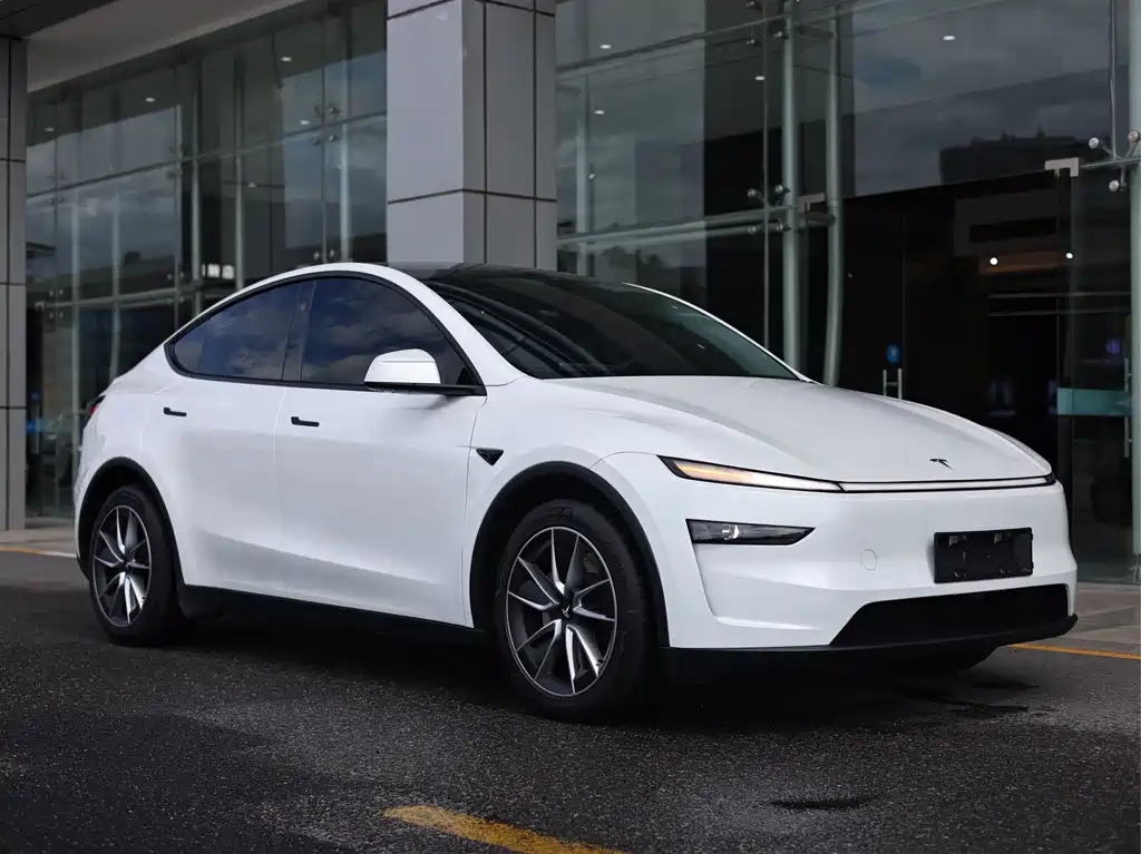Tesla Model Y — миниатюра 3
