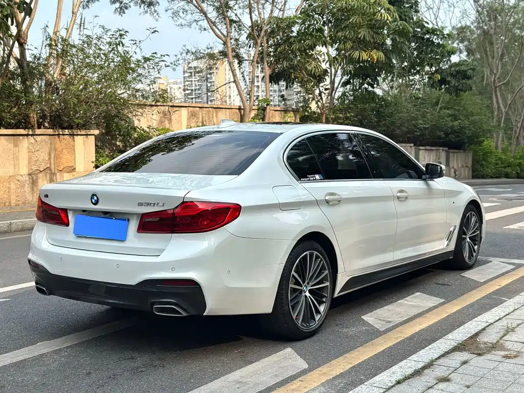 BMW 5 Series 5 2020 530Li Lead M Sport