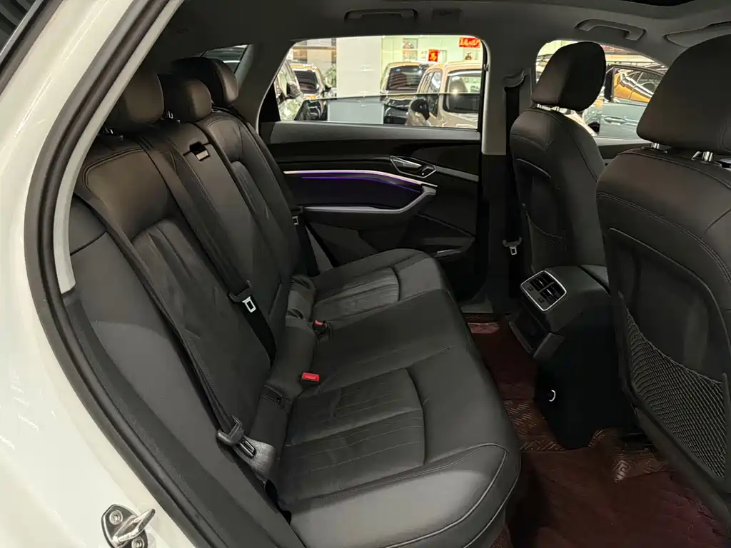 Audi e-tron (Import) — миниатюра 10