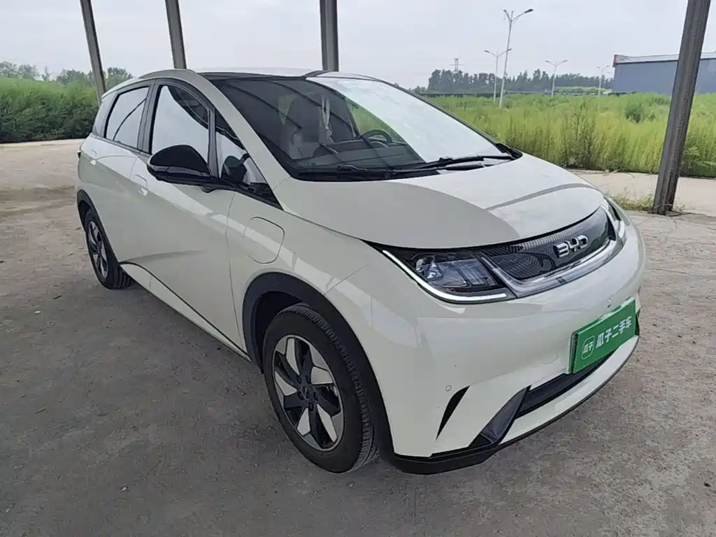 BYD Dolphin — миниатюра 4