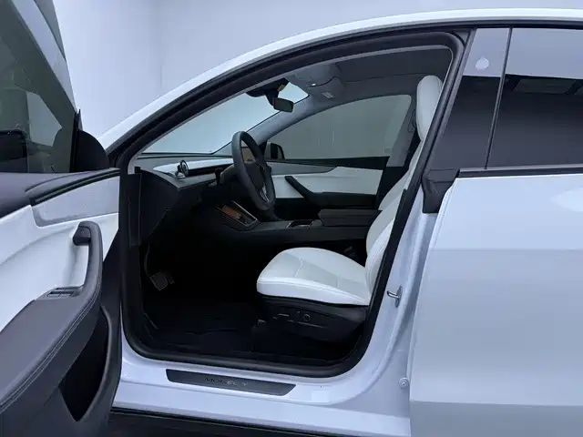 Tesla Model Y — миниатюра 12