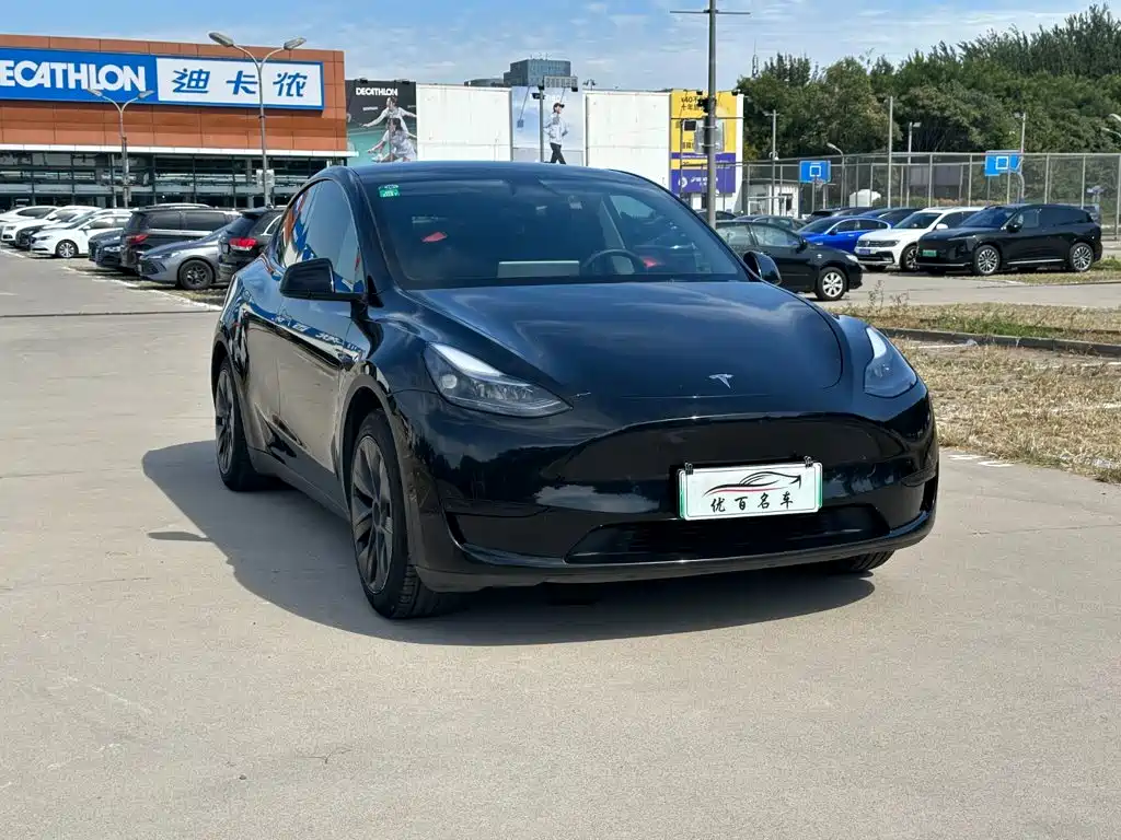 Tesla Model Y — миниатюра 3