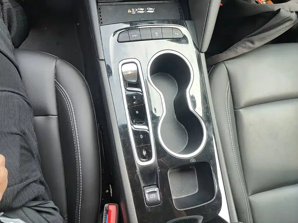 Buick Regal — миниатюра 14