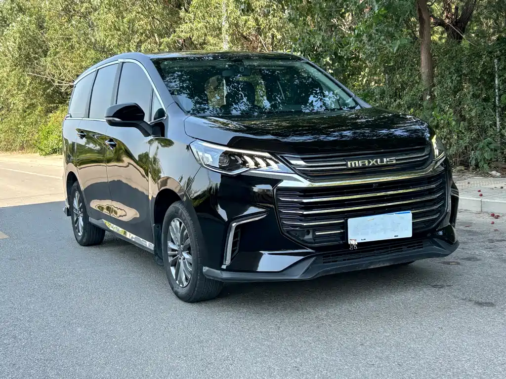 MAXUS G50 — миниатюра 12