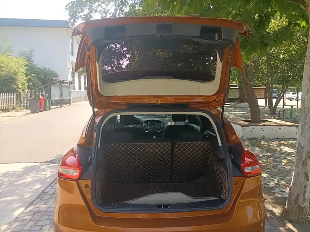 Ford Focus — миниатюра 19