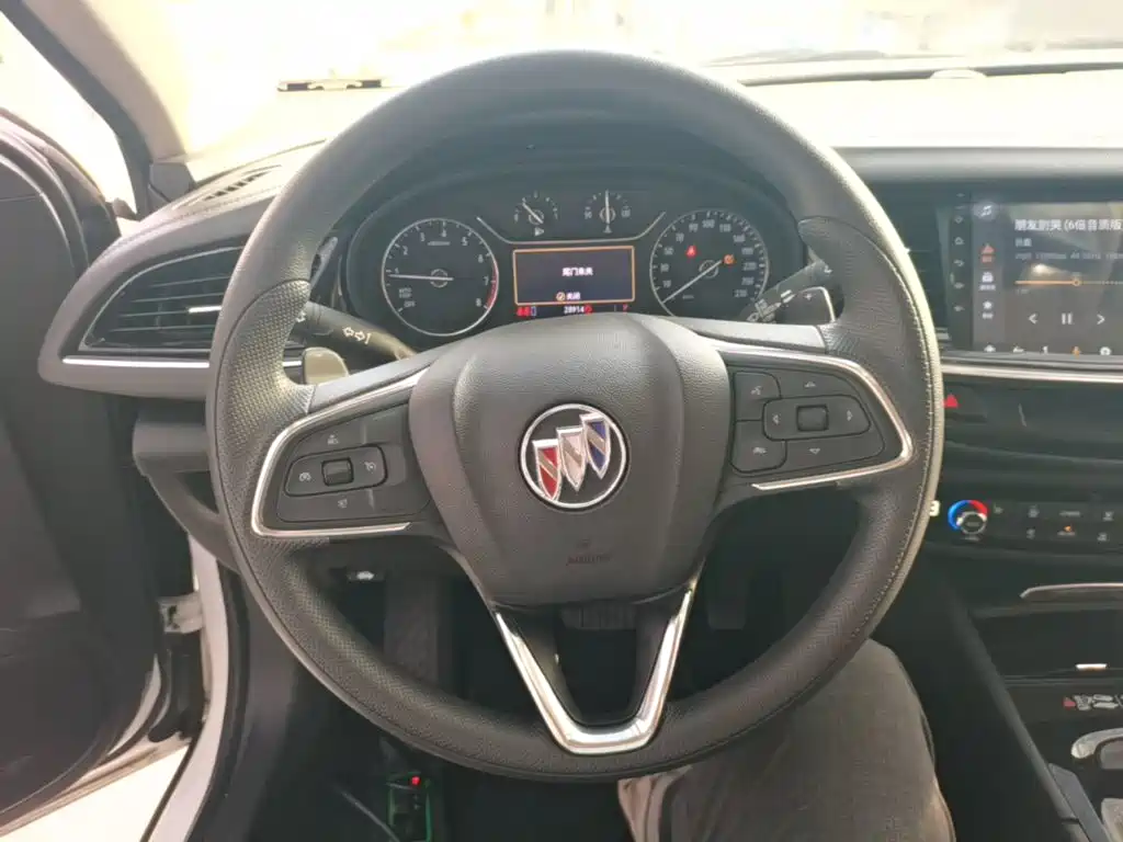 Buick Regal — миниатюра 11