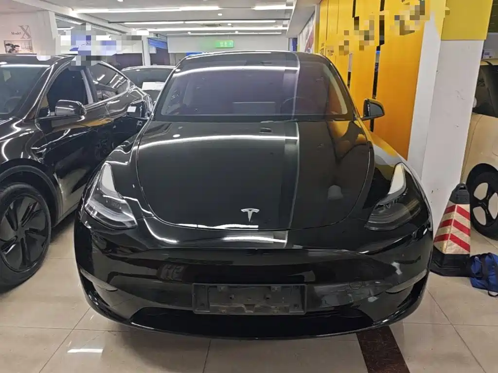 Tesla Model Y — миниатюра 3
