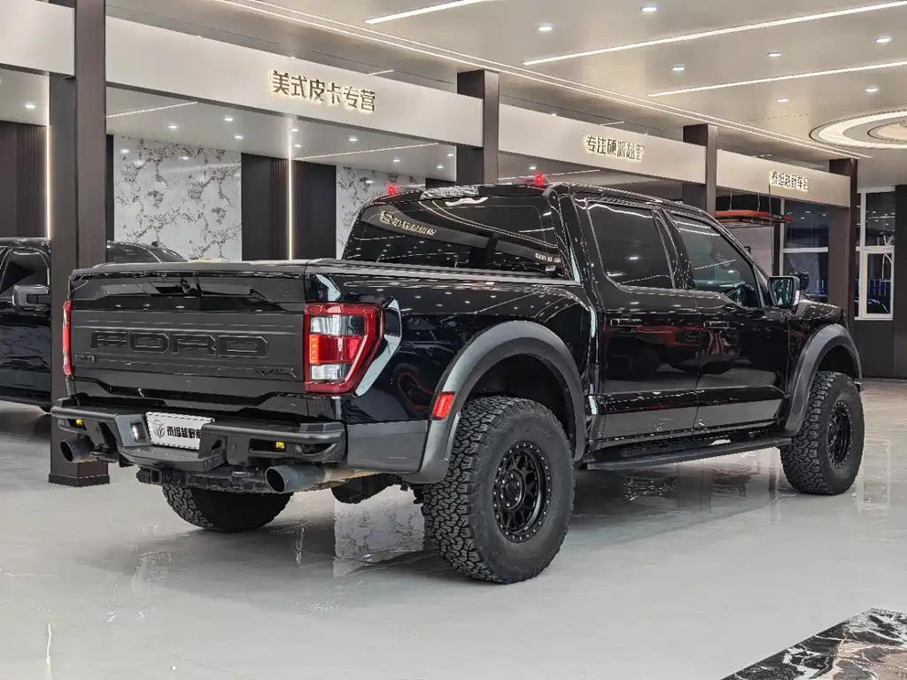 Ford F-150 Raptor — миниатюра 11