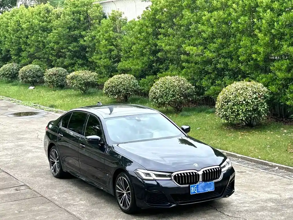 BMW 5 Series 5 2021 530Li Lead Luxury