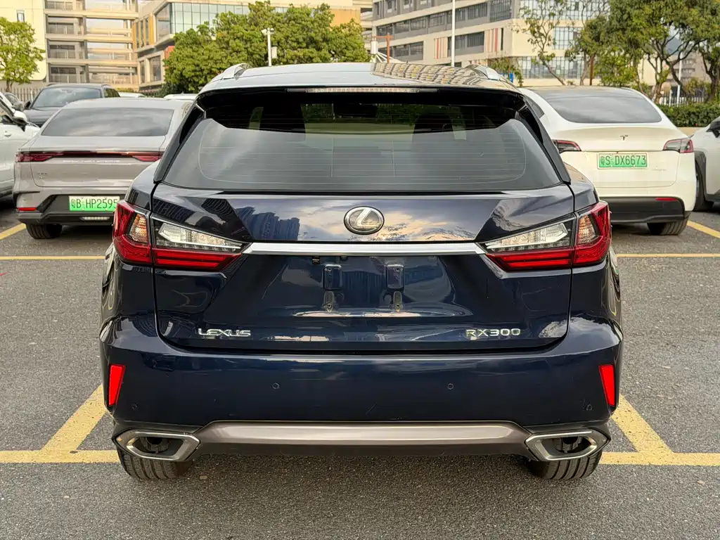 LEXUS RX