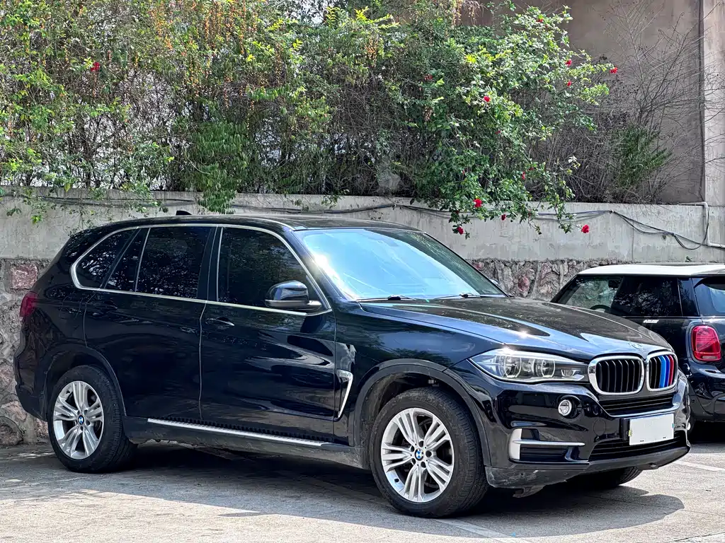 BMW X5 2014 xDrive35i Lead