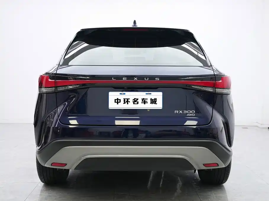 Lexus RX — миниатюра 16