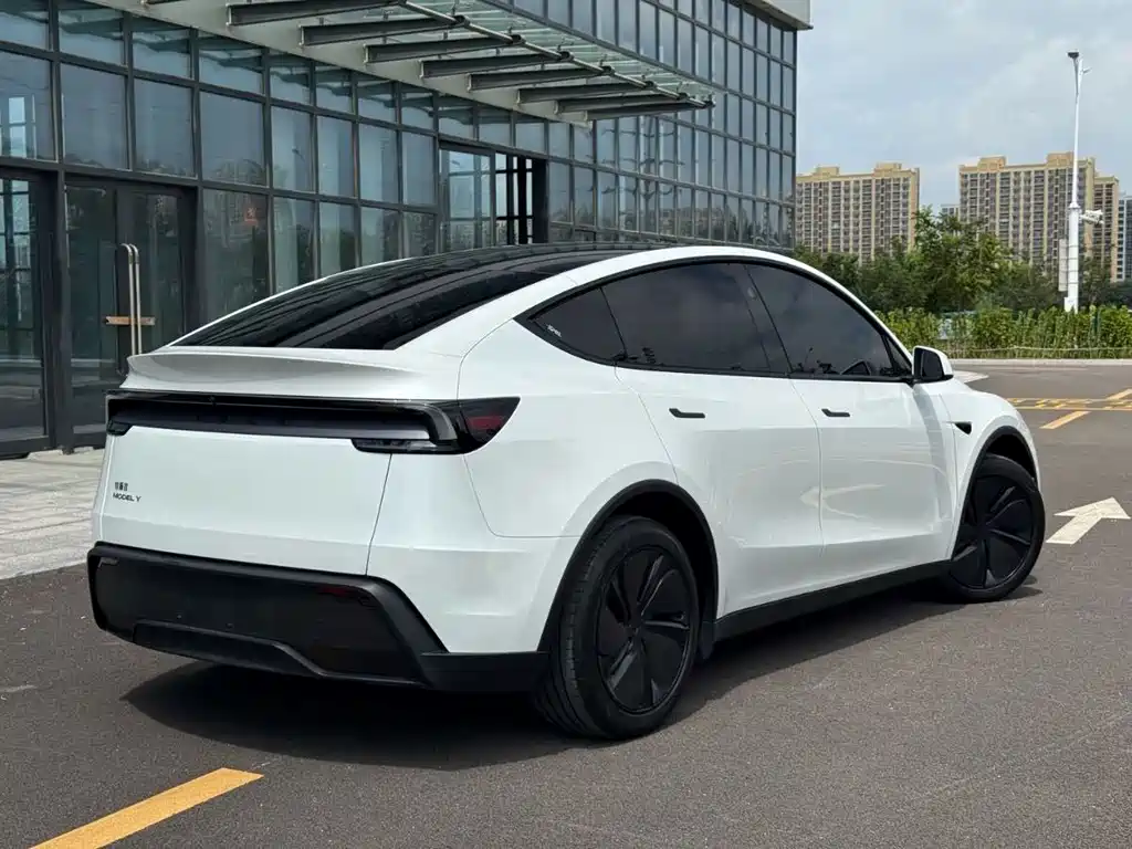 Tesla Model Y — миниатюра 4