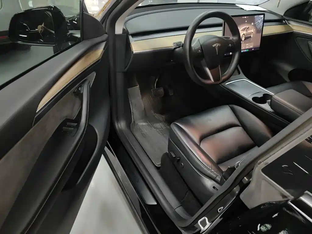 Tesla Model Y — миниатюра 16