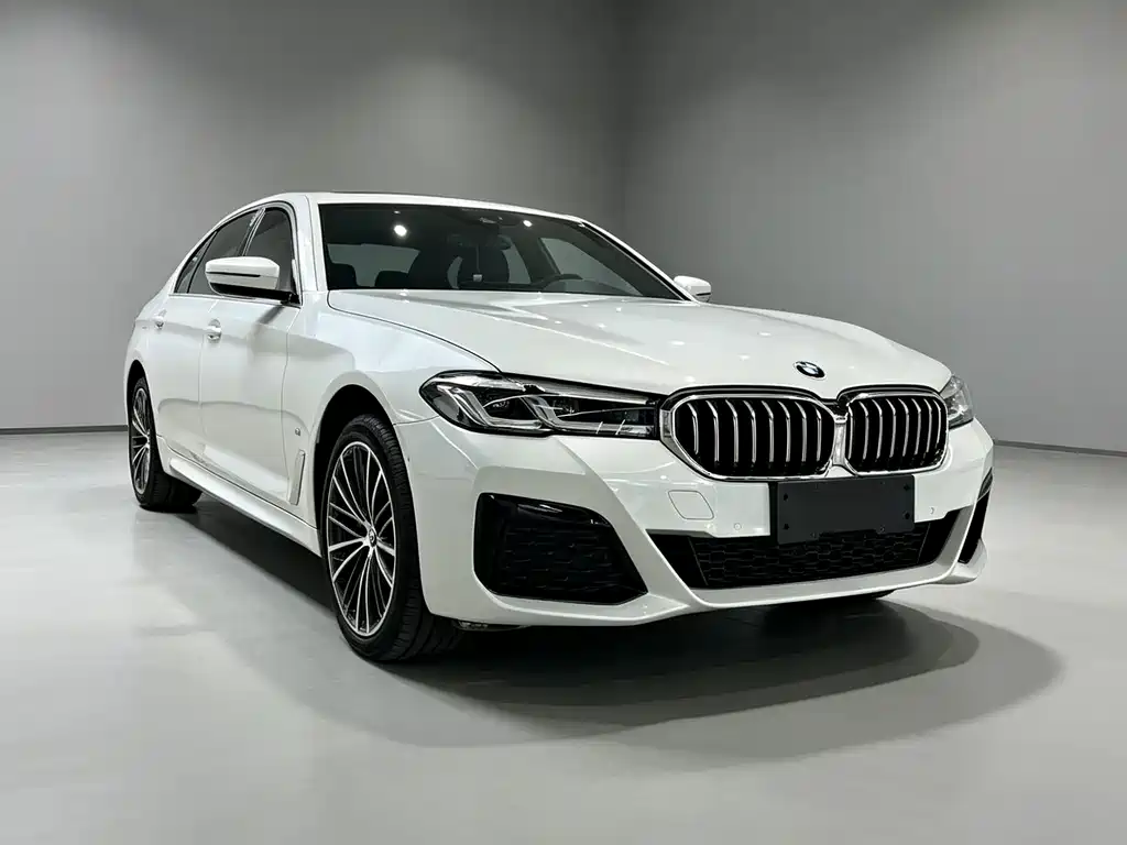 BMW 5 Series — миниатюра 3