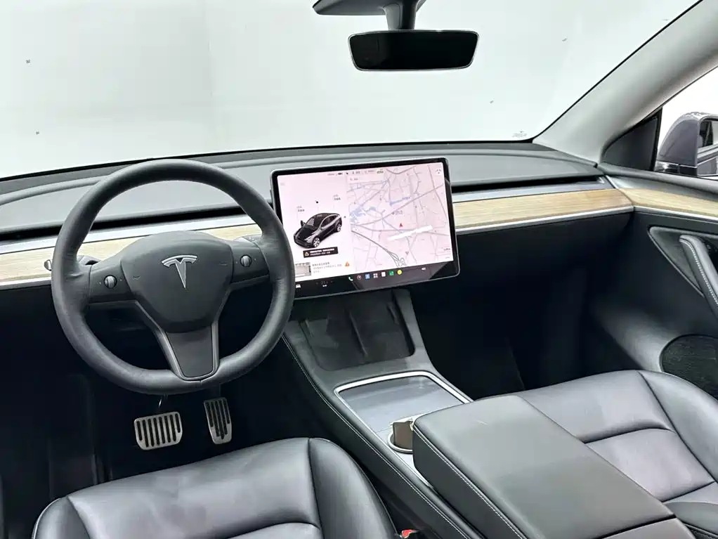 Tesla Model Y — миниатюра 10
