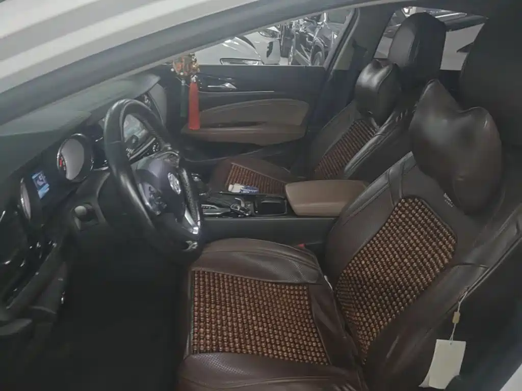 Buick Regal — миниатюра 15