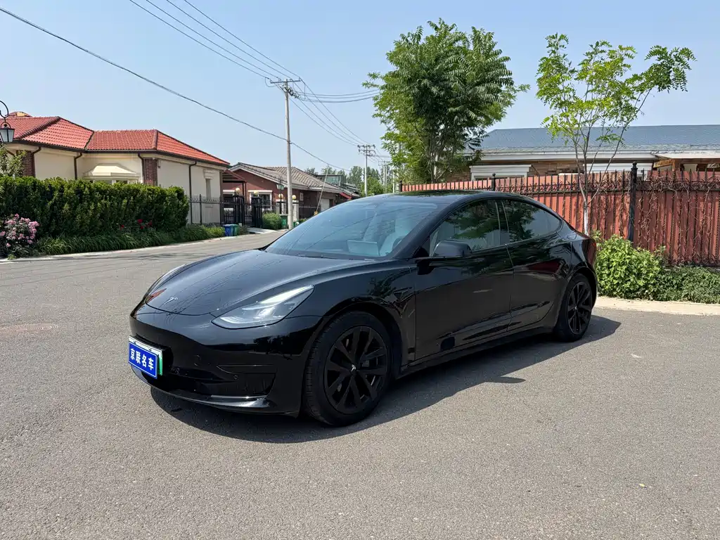 Tesla Model 3 2021