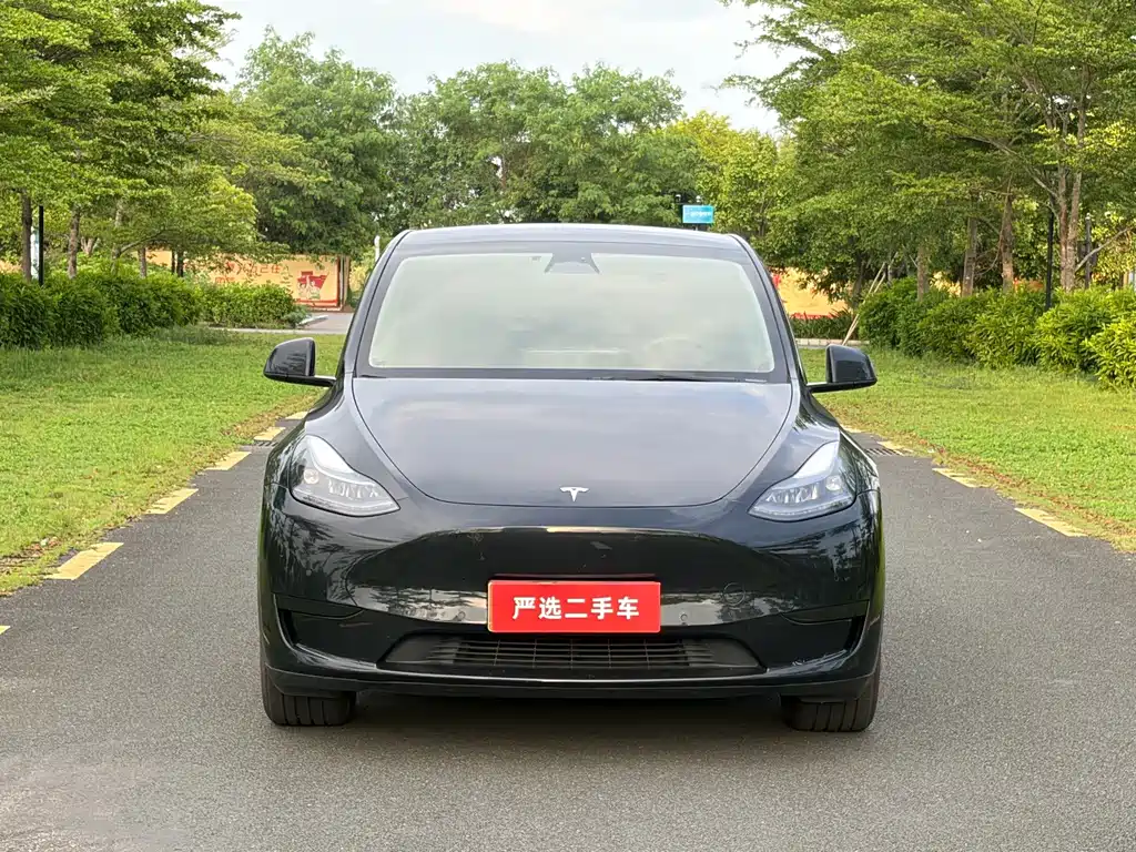 Tesla Model Y — миниатюра 2
