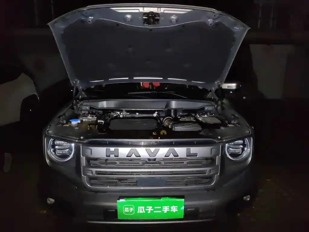 Haval Big Dog — миниатюра 16