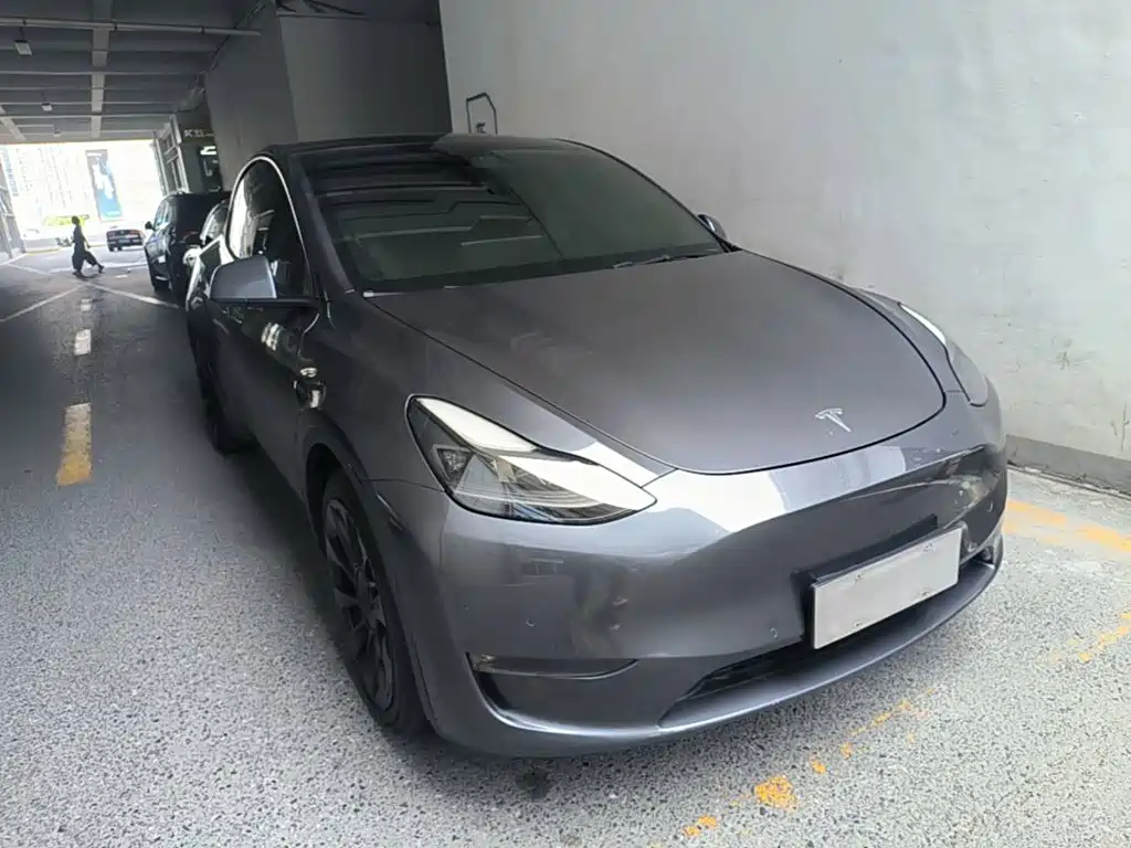 Tesla Model Y — миниатюра 4