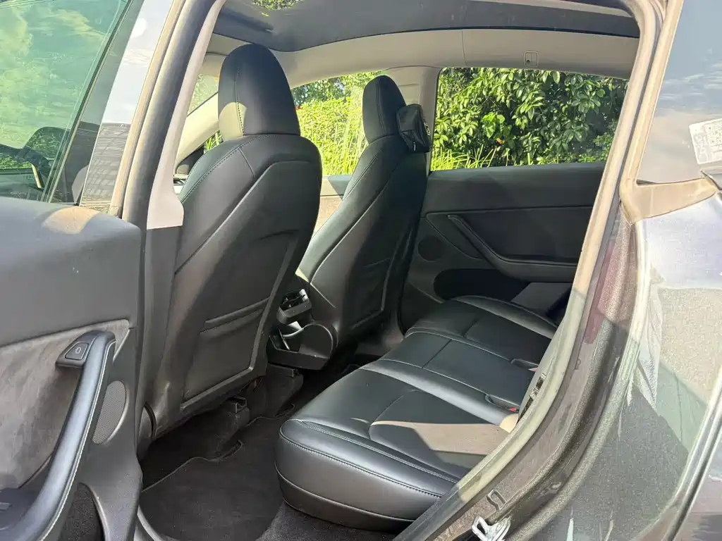 Tesla Model Y — миниатюра 6
