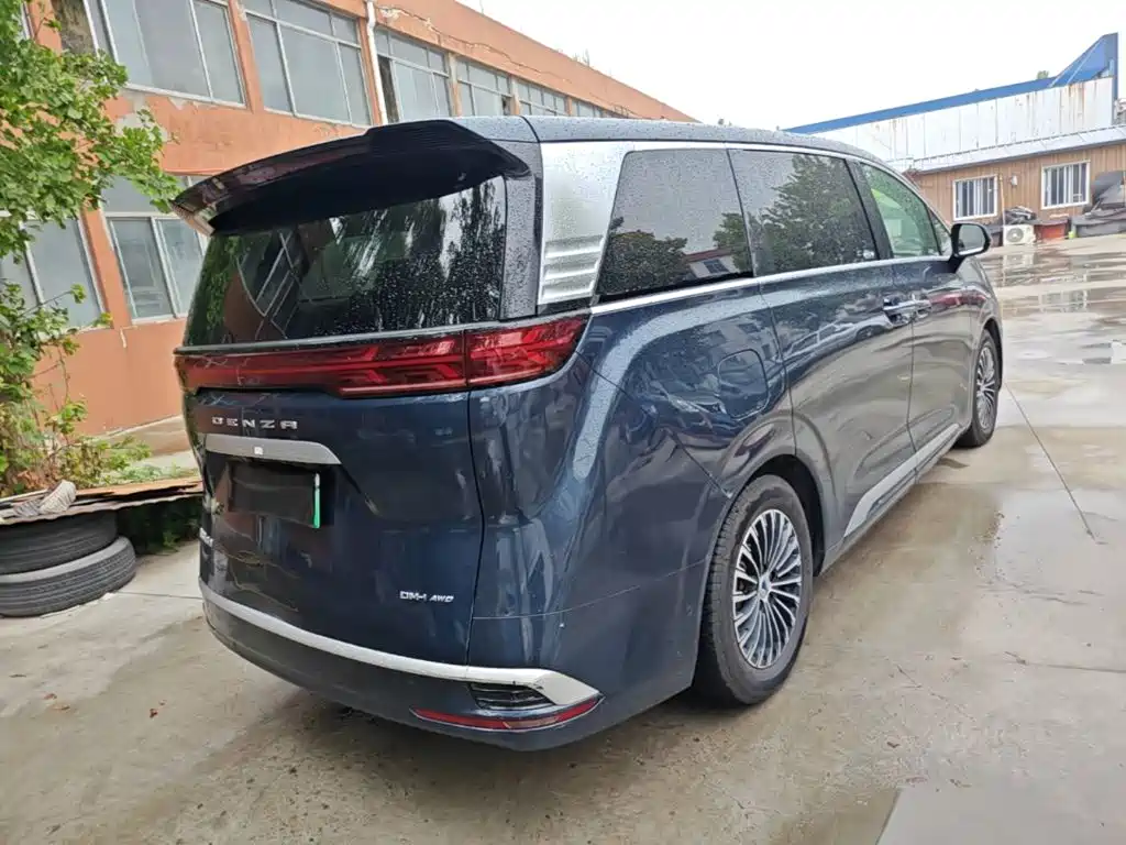 Denza Denza D9 — миниатюра 7
