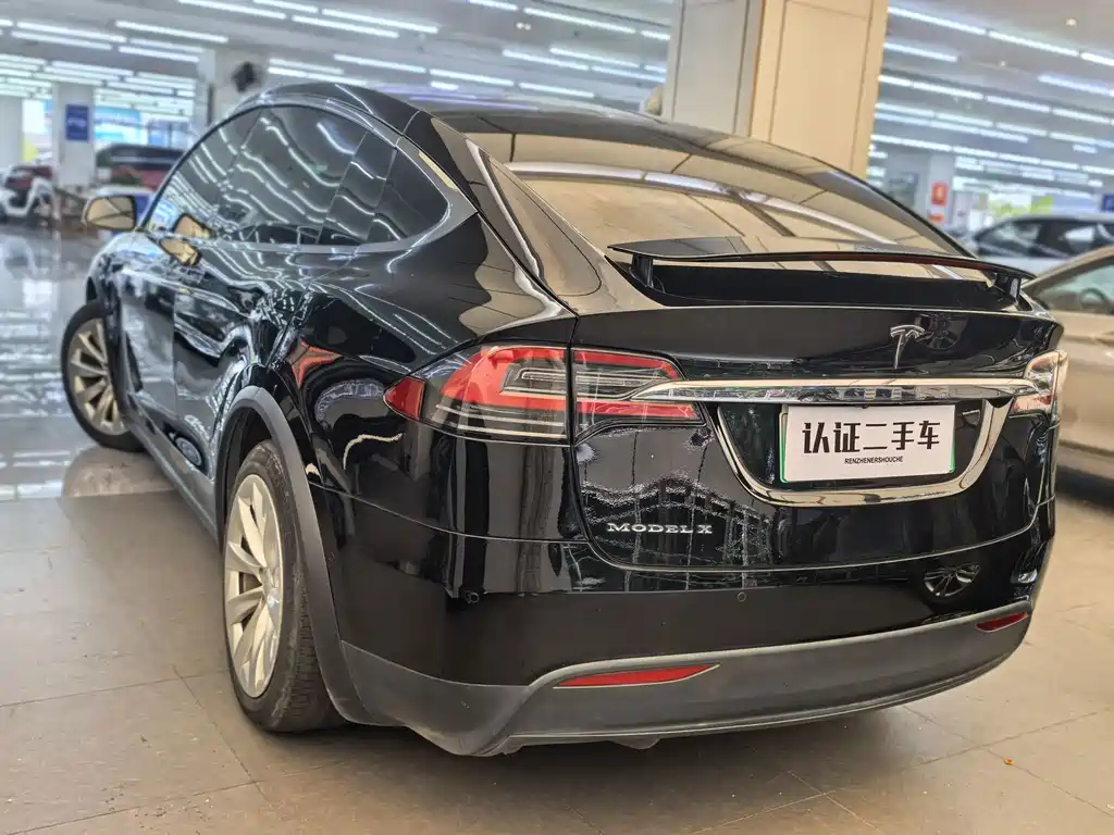 Tesla Model X — миниатюра 11