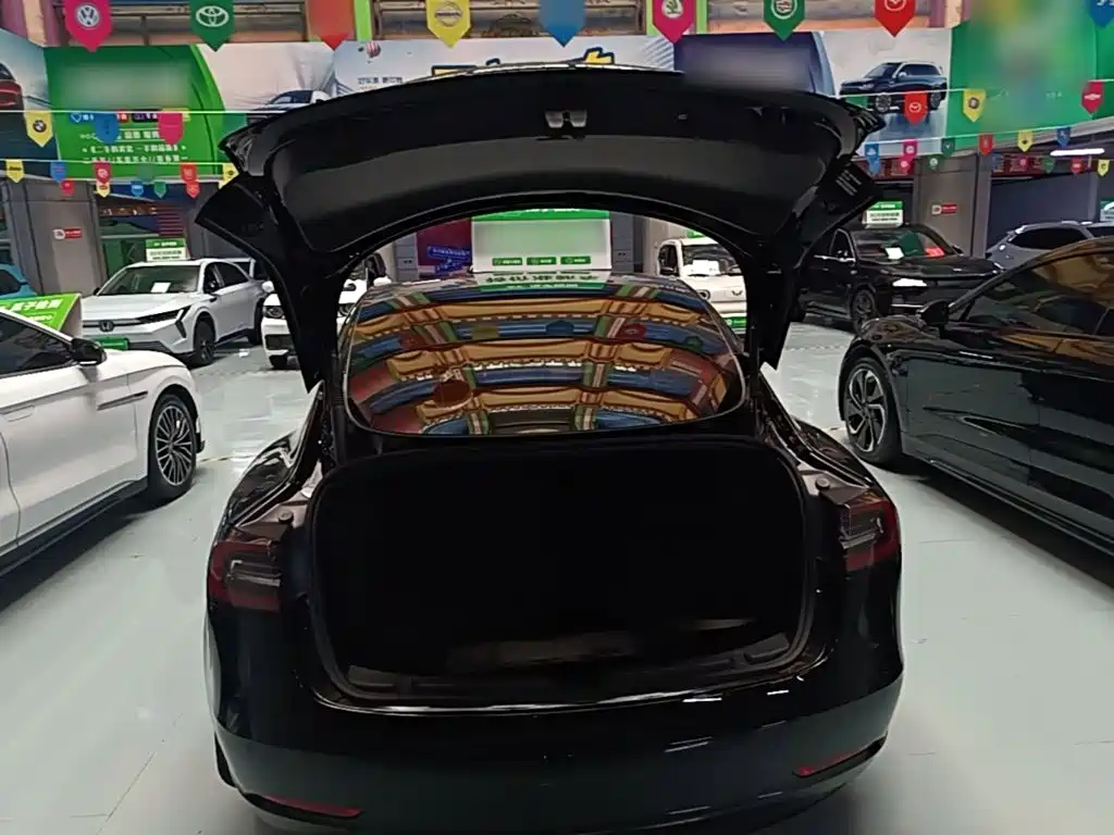 Tesla Model 3 — миниатюра 19