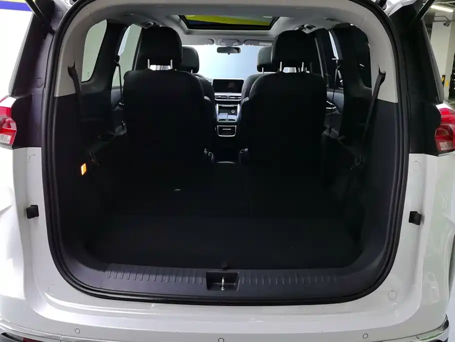 Maxus G50 PLUS 1.5T Happiness Recommended Auto Cruise Edition, фото 4
