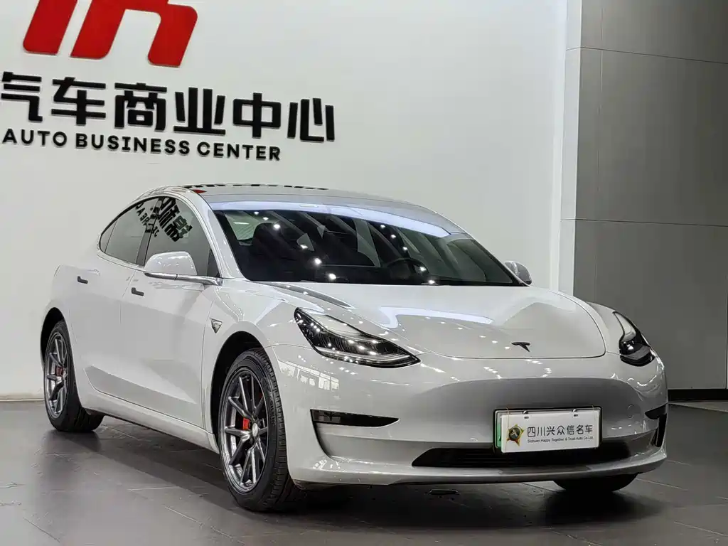 Tesla Model 3 — миниатюра 3