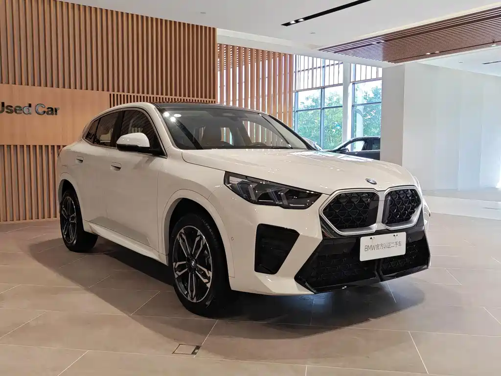 BMW X2 (Import) — миниатюра 3