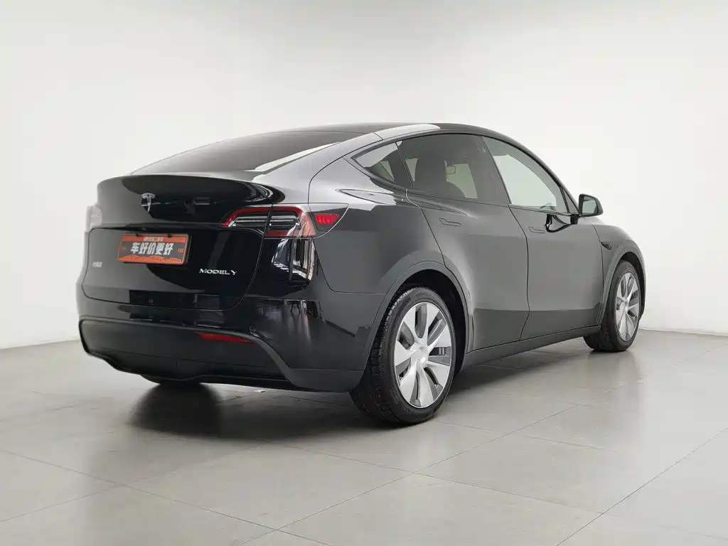 Tesla Model Y — миниатюра 2
