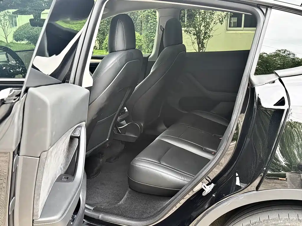Tesla Model Y — миниатюра 6