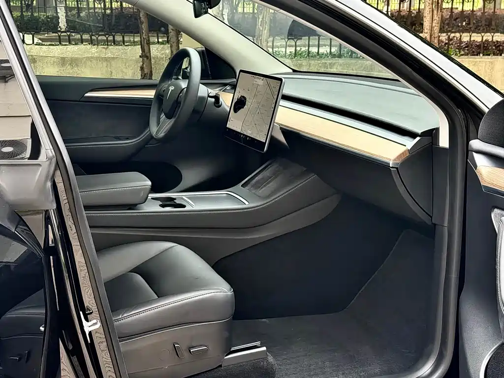 Tesla Model Y — миниатюра 7