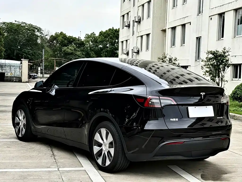 Tesla Model Y — миниатюра 8