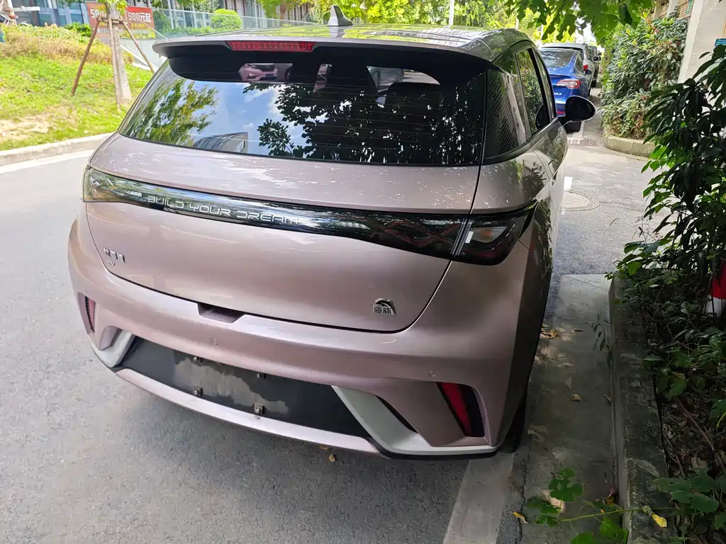 BYD Dolphin — миниатюра 6