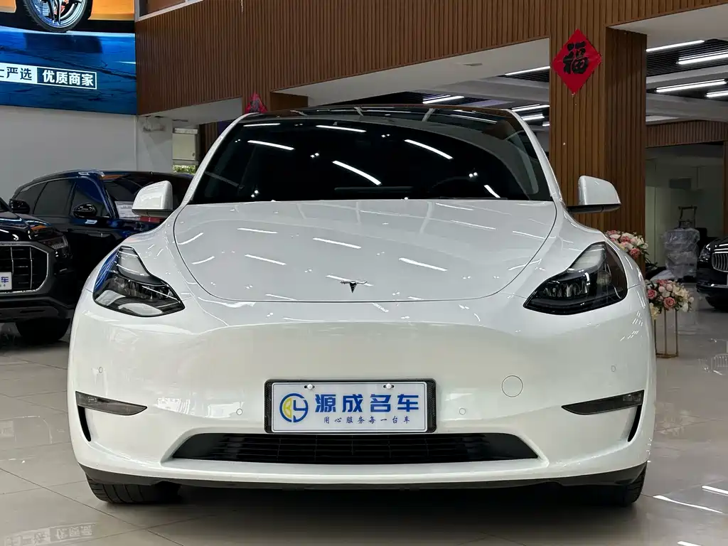 Tesla Model Y — миниатюра 3