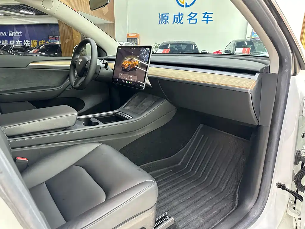 Tesla Model Y — миниатюра 15