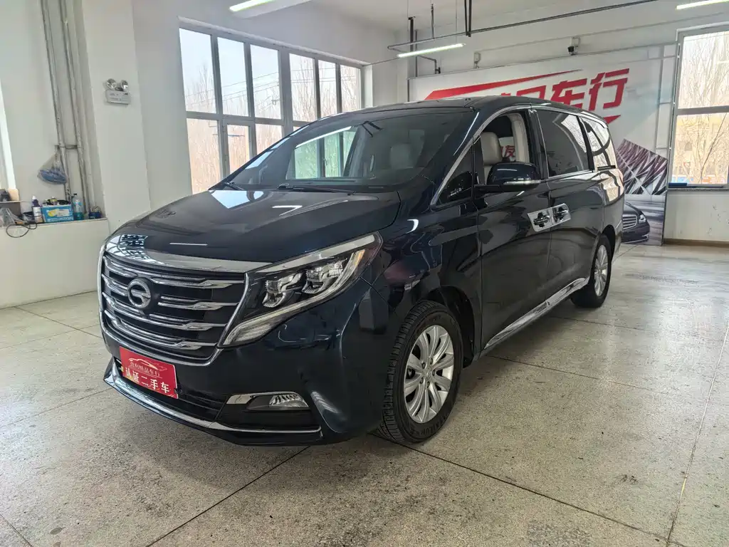 GAC Motor Trumpchi M8 2018