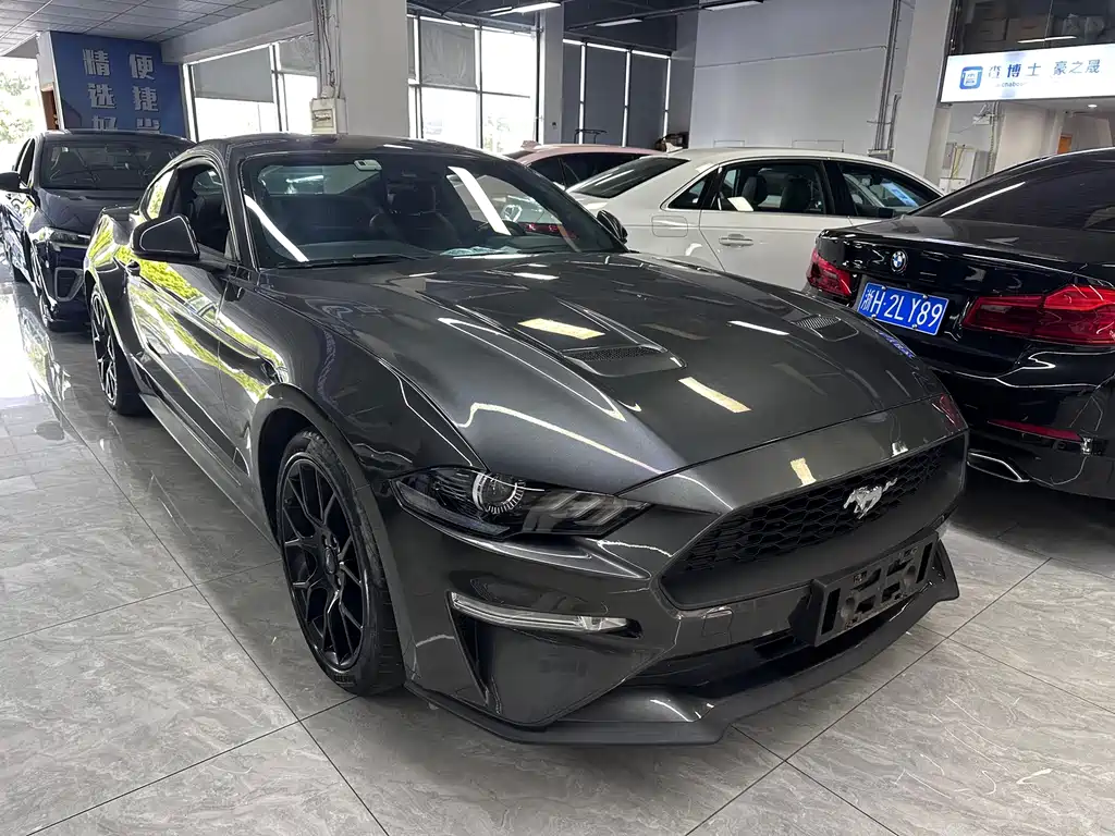 Ford Mustang — миниатюра 3