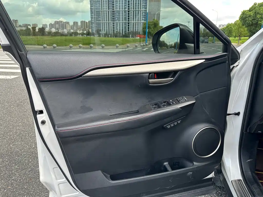 Lexus NX — миниатюра 13